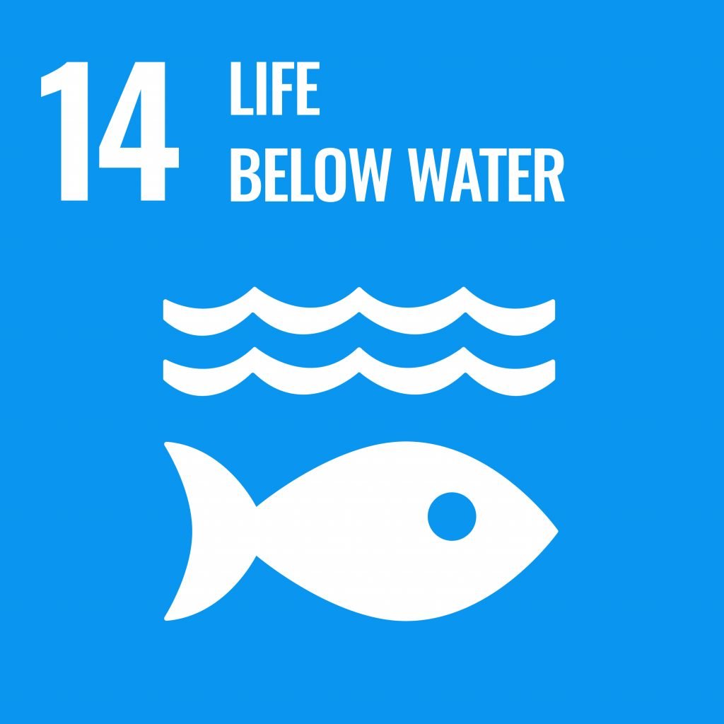 <span data-lang="en">SDG 14 — Life Below Water</span><span data-lang="id">SDG 14 — Ekosistem Lautan</span>